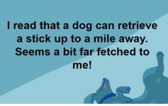 DOG.JPG