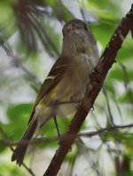 _ROY8463_00001_01.jpg