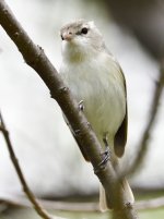_ROY8625_00001.jpg