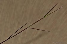 04-22-20-cr_7502169-ON1.jpg