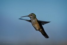 04-24-20-cr_D7K2496-ON1.jpg