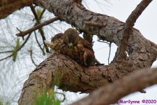 DSC_9627_001.JPG