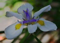 _ROY8825_00001.jpg