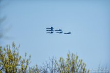 _NIK1885 low res.jpg