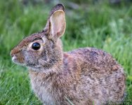 _NIK1875 low res.jpg