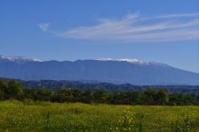 _ROY9127_00001.jpg