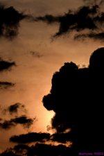 DSC_9653_001.JPG