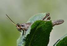 _ROY9177_00001.jpg