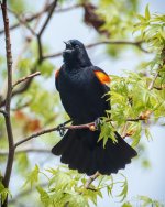 _NIK1998 low res.jpg