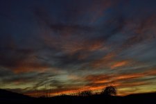 _ROY9249_00001.jpg