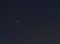 _ROY9252_00001.jpg
