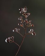 D72_9754.jpg