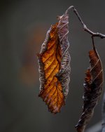 D72_9758.jpg