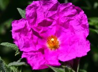 _ROY9285_00001.jpg