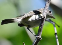 _ROY9333_00001_01.jpg
