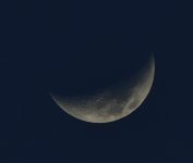 _ROY9355_00001.jpg