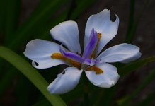 _ROY9357_00001.jpg