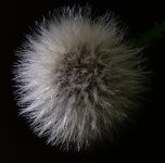 _ROY9412_00001_01.jpg