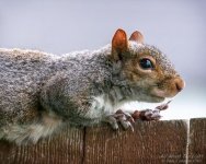 _NIK2053 low res.jpg