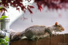 _NIK2059 low res.jpg