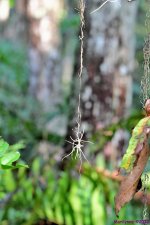 DSC_0032_001.JPG