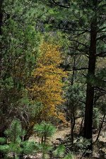 05-03-20-cr_D7K2627-ON1.jpg