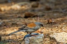 05-03-20-cr_D7K2644-ON1.jpg