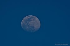 05-04-20-cr_D7K2650-ON1.jpg