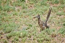 05-06-20-cr_D7K2671-ON1.jpg