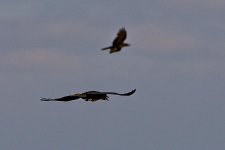 05-07-20-cr_D7K2696-ON1.jpg