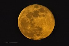 05-07-20-cr_D7K2720-ON1.jpg
