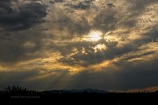 05-08-20-cr_7502249-ON1.jpg