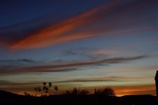_ROY0079_00001_01.jpg