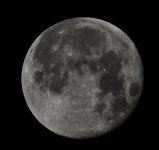 _ROY0097_00001.jpg