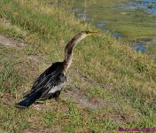 DSC_5349_001.JPG