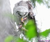 DSC_0570_001.JPG