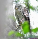 DSC_0581_001.JPG