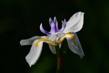_ROY0676_00001.jpg