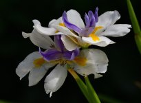 _ROY0888_00001.jpg