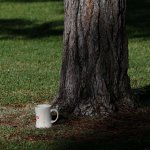 Mug.jpg