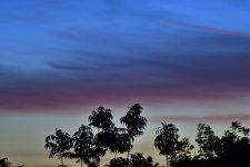 _ROY0997_00001.jpg