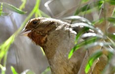 _ROY1207_00001.jpg