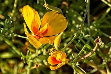 05-17-20-cr_D7K2773-ON1.jpg