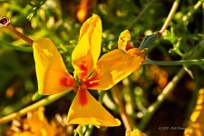 05-17-20-cr_D7K2779-ON1.jpg