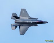 W_500_5664.jpg