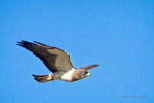 05-24-20-cr_D7K2820-ON1.jpg