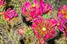 05-25-20-cr_7502379_Focus-ON1.jpg