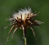 _ROY1716_00001_02.jpg
