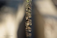 05-27-20-cr_D7K2862-ON1.jpg