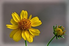 05-29-20-cr_D7K2876-ON1.jpg